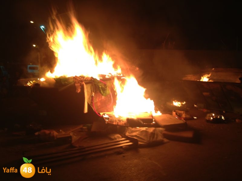 firelud608608 (1).jpg